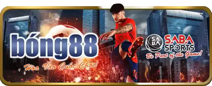 Chương trình VIP VA88